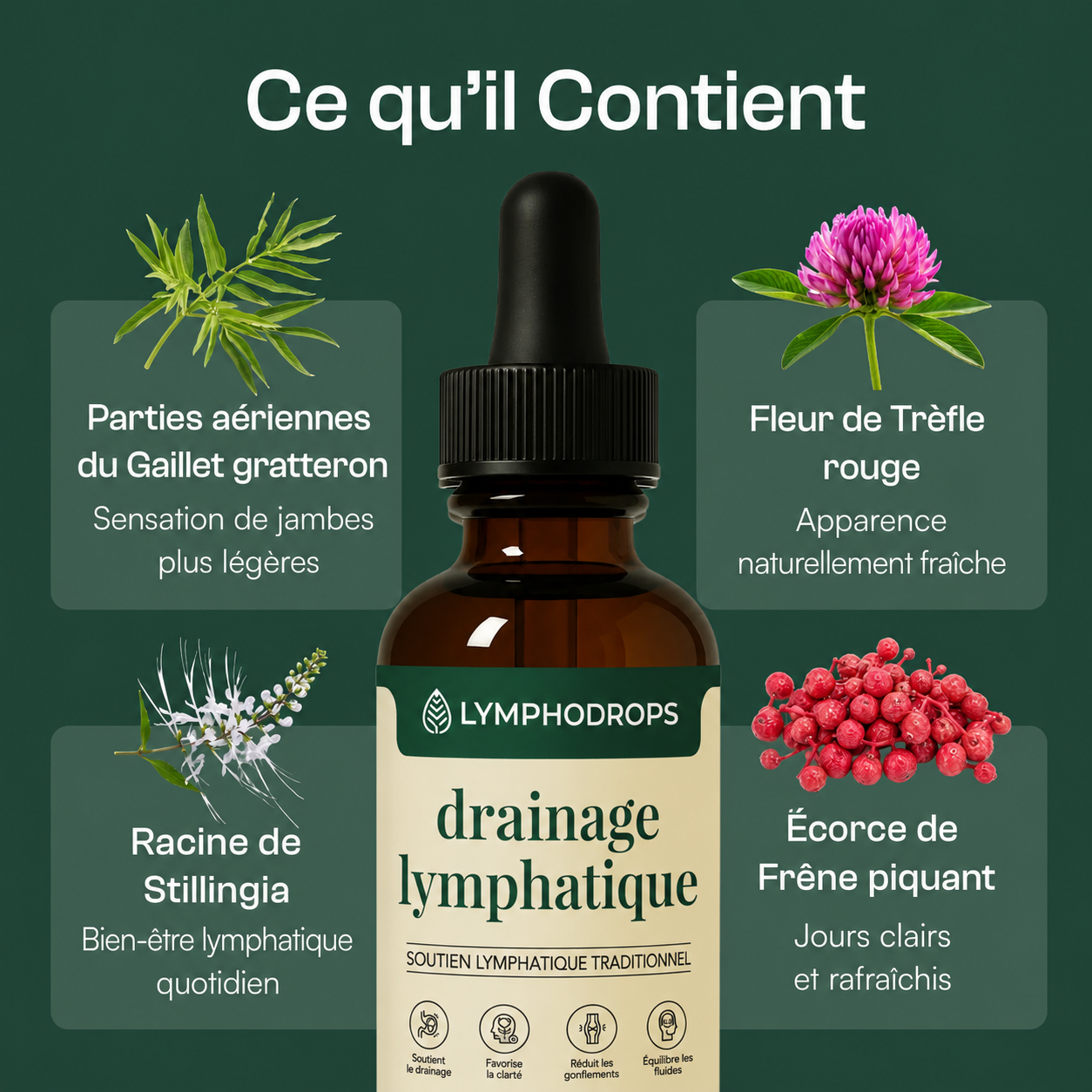 Gaillet gratteron