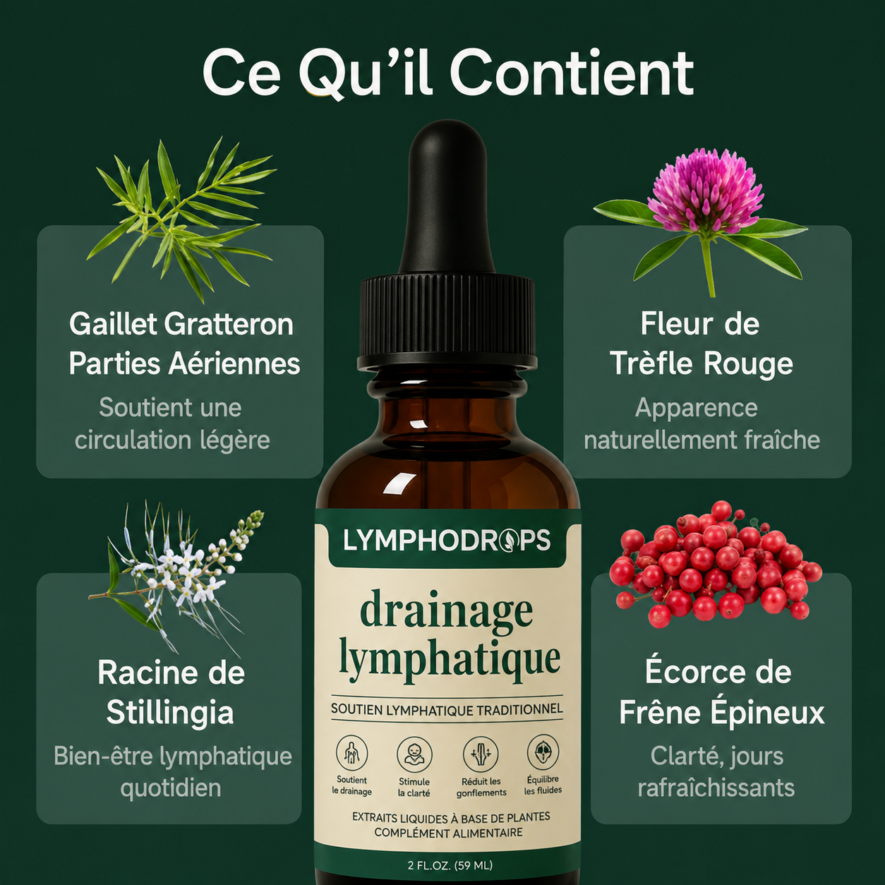 Gouttes lymphatiques Lymphodrops