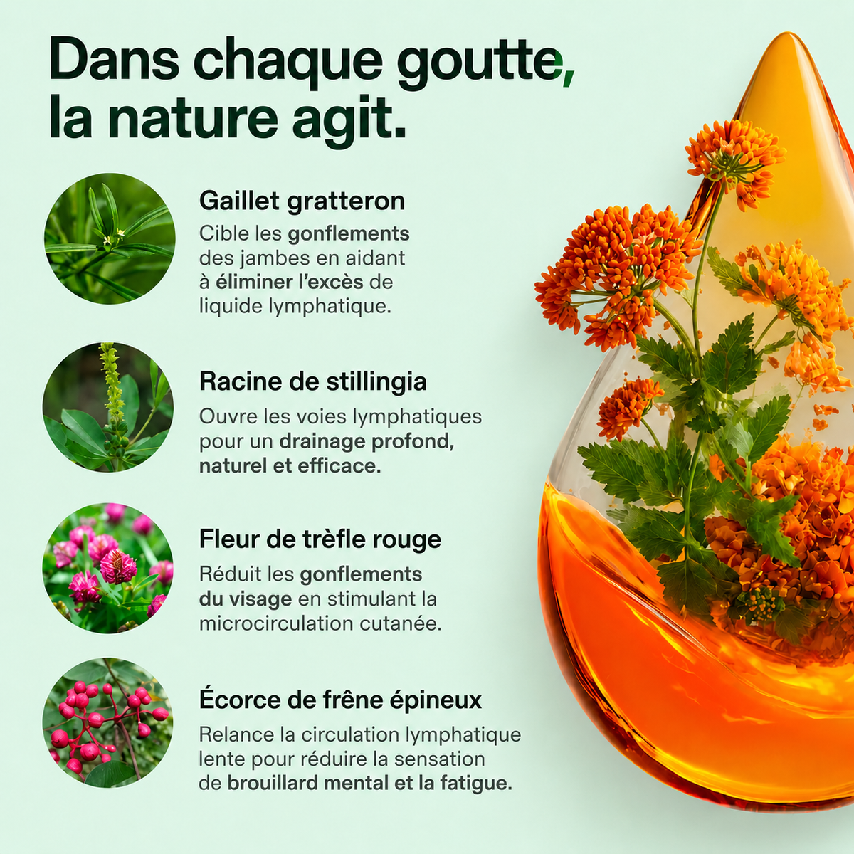 Gouttes de bien-être Lymphodrops